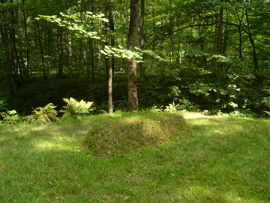 Tomba di Lev Tolstoj nel parco di Jasnaja Poljana