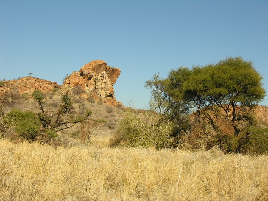 Landschaft der Mapungubwe Cultural Landscape in Limpopo, Südafrika