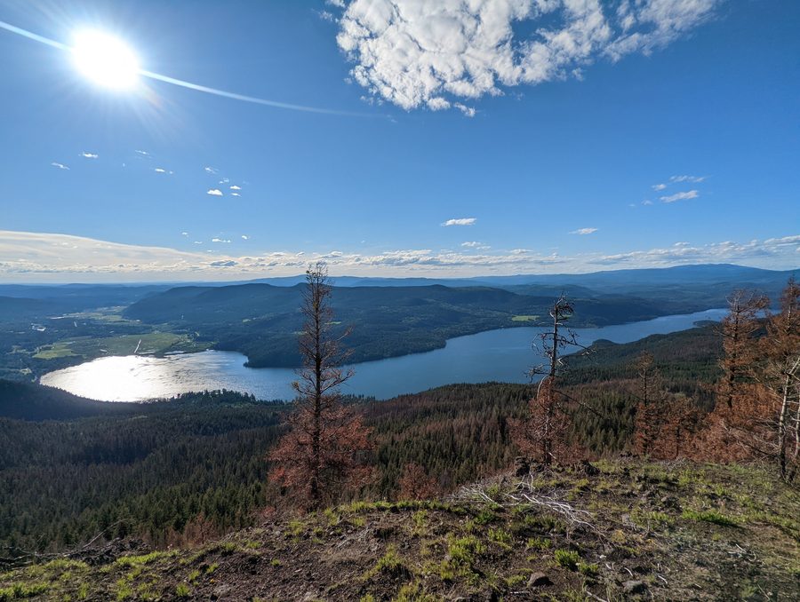 Blick auf den Canim Lake von einem südlichen Aussichtspunkt in Richtung Norden