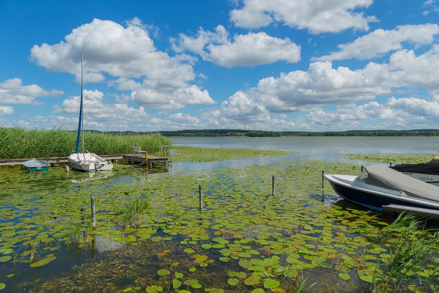 Blick über den Malchiner See bei Bülow im Landkreis Rostock
