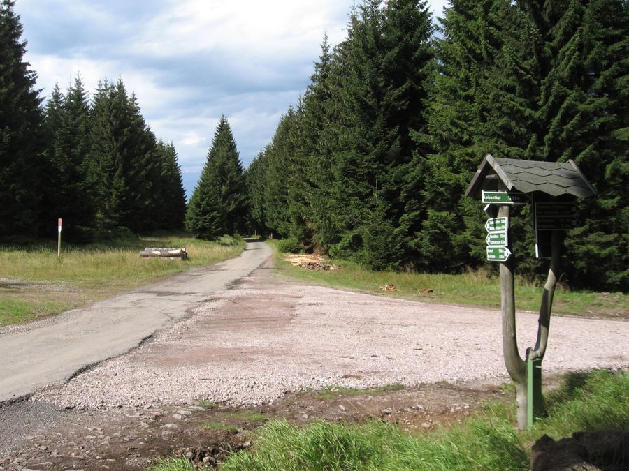 Pista ciclabile sul Rennsteig nella Selva di Turingia vicino a Oberhof
