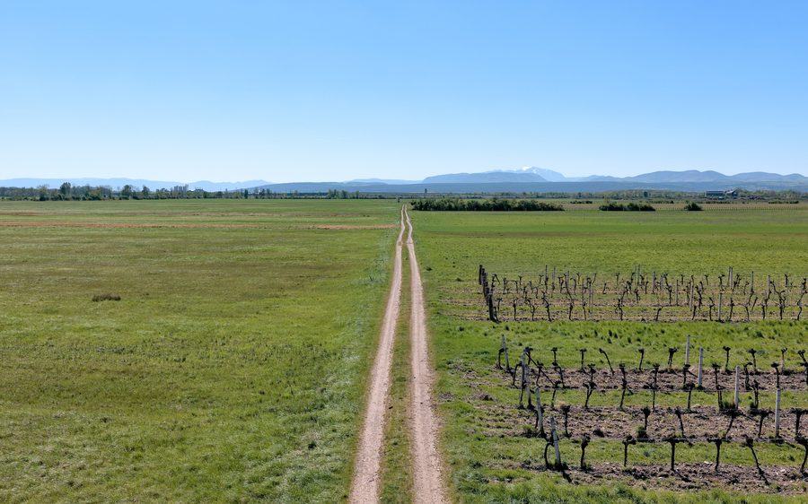 Ländlicher Weg zwischen Wiesen in der Gemeinde Günselsdorf in Niederösterreich