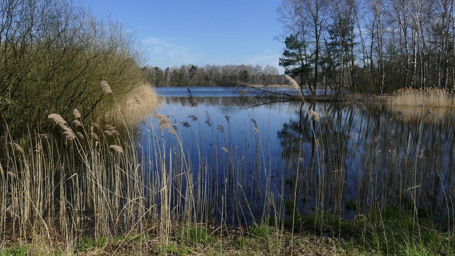File:Würmsee (Burgwedel) 01.jpg