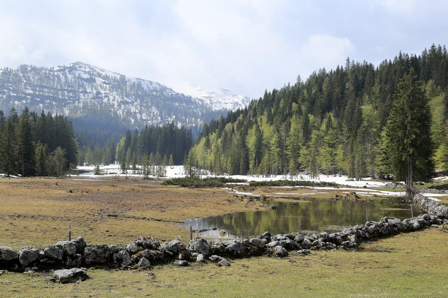Paesaggio sulla Hemmersuppenalm sopra Reit im Winkl