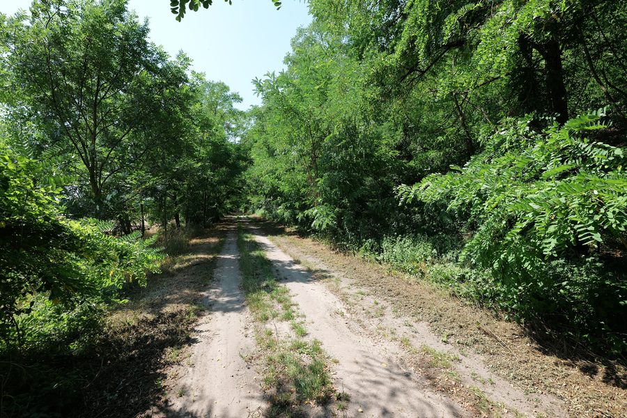 Landschaft im Oderbruch mit Trockenrasen und den Hängen des Reitweiner Sporns