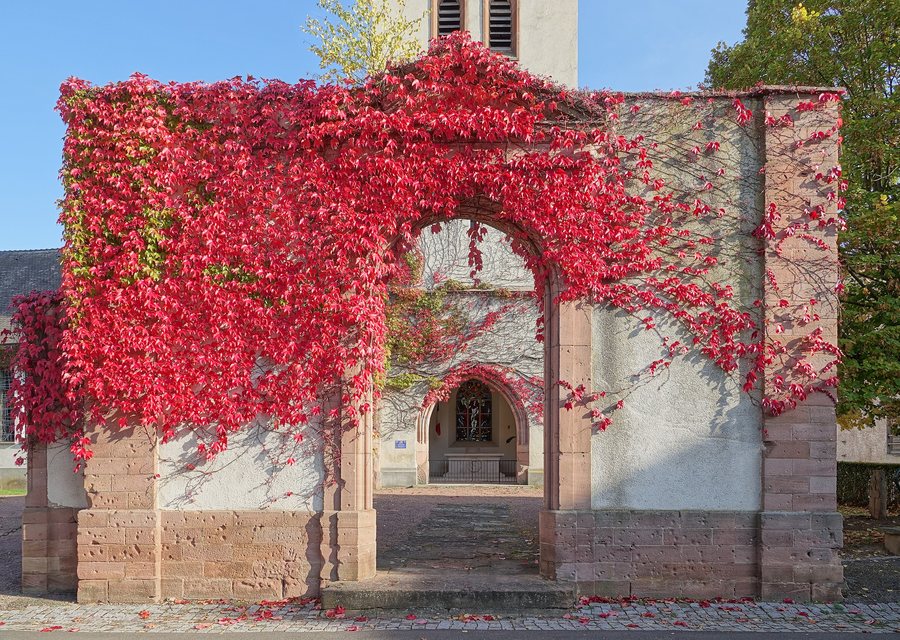 File:Église Sainte-Brigitte (Mittelwihr) (1).jpg