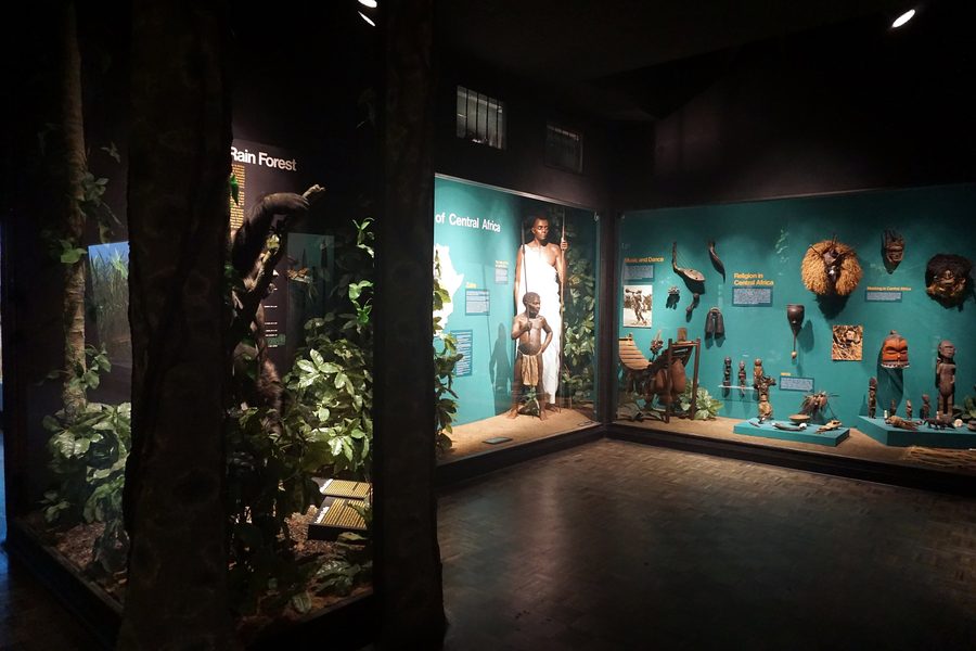 Vetrina espositiva al Milwaukee Public Museum con una sezione dedicata all’Africa centrale.