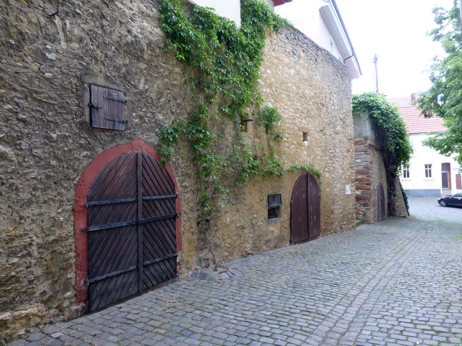 Cantine storiche del vino sul muro meridionale del mercato a Westhofen