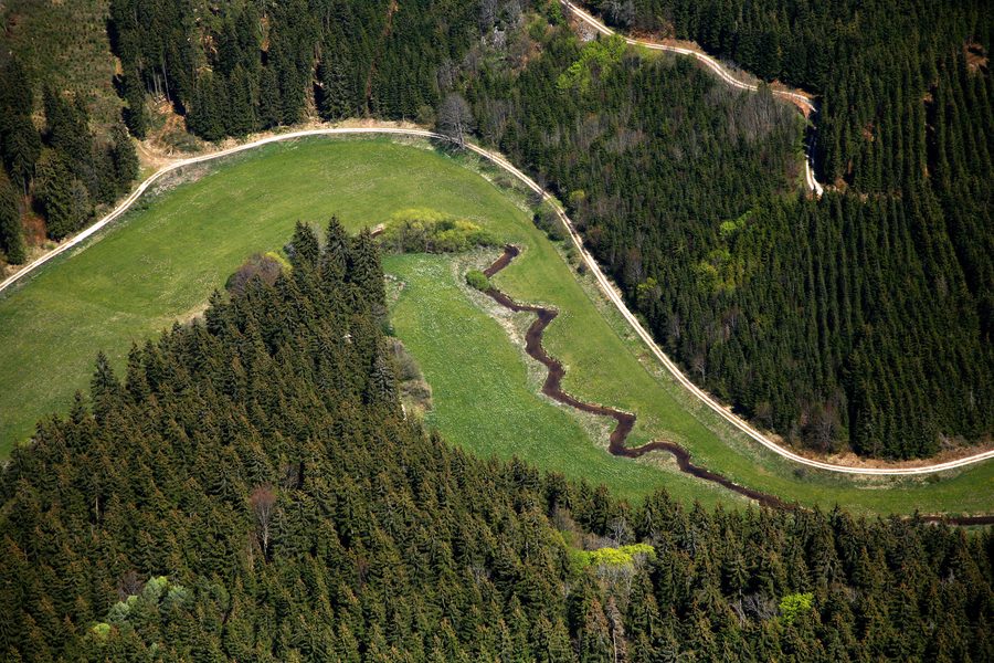 Mäandernder Fehla-Bach in einer bewaldeten Tallandschaft der Schwäbischen Alb