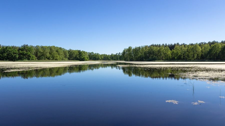 Ochsenteich im Biosphärenreservat Oberlausitzer Heide- und Teichlandschaft