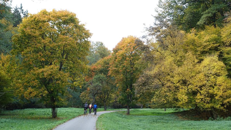 Radfahrergruppe im Goldersbachtal im Naturpark Schönbuch im Herbst