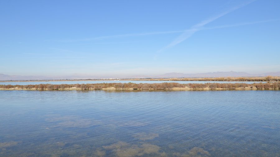 File:Parc Natural de les Salines de Santa Pola - Santa Pola, Spain 2024-02-04 (02).jpg