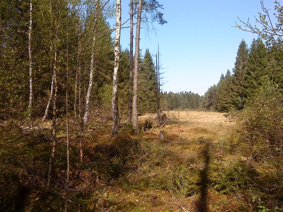 Area naturale protetta Wiesbüttmoor tra Wiesen e Flörsbachtal in Assia