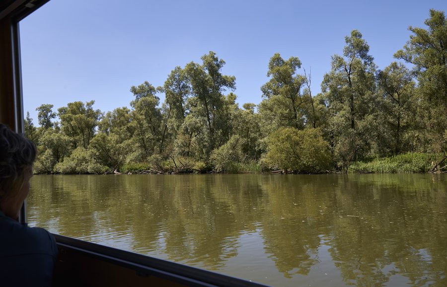 Biesbosch visto da una barca vicino a MuseumEiland.
