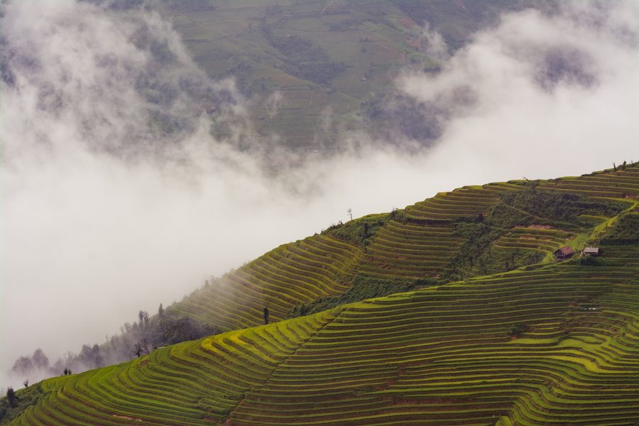 Reisterrassen und Berglandschaft bei La Pán Tẩn in Mu Cang Chai, Yen Bai