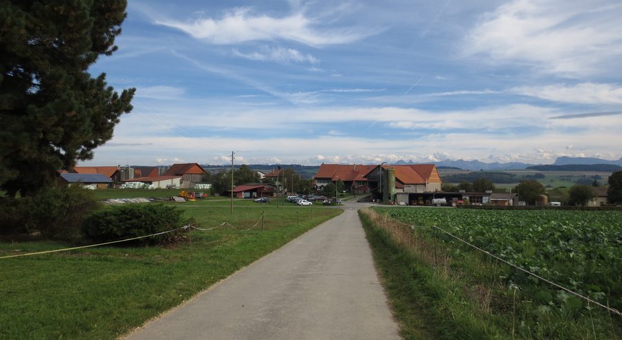 Vista di Cremin nel cantone del Vaud con ambiente rurale