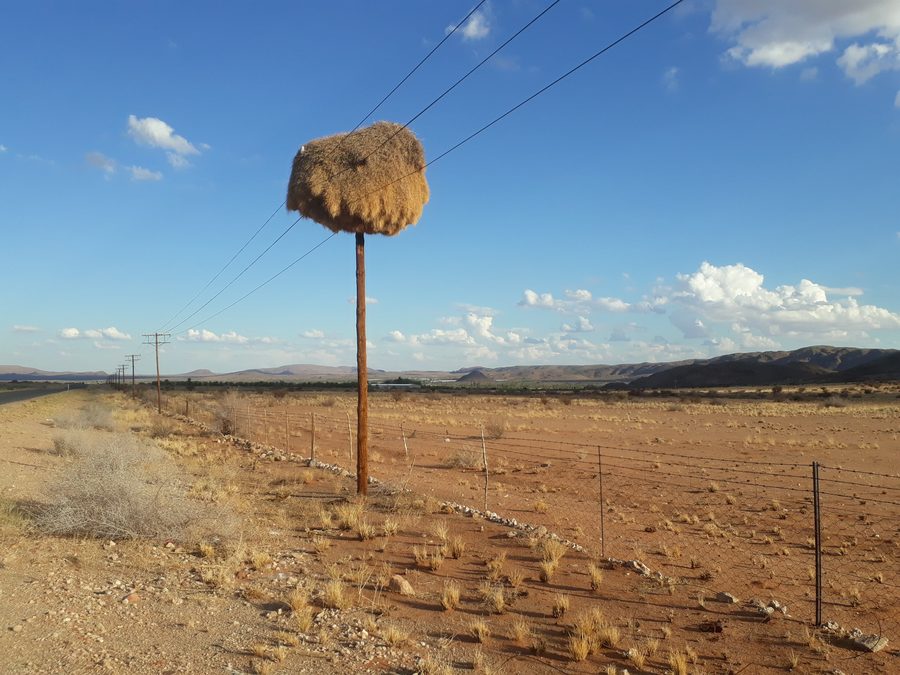Una strada conduce verso ovest attraverso il paesaggio sudafricano.