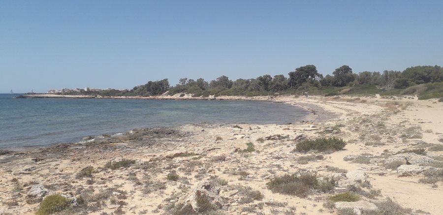 File:Es Dofí Ses Salines.jpg