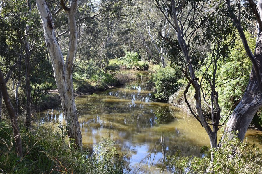 Maribyrnong River vicino a Keilor in Victoria