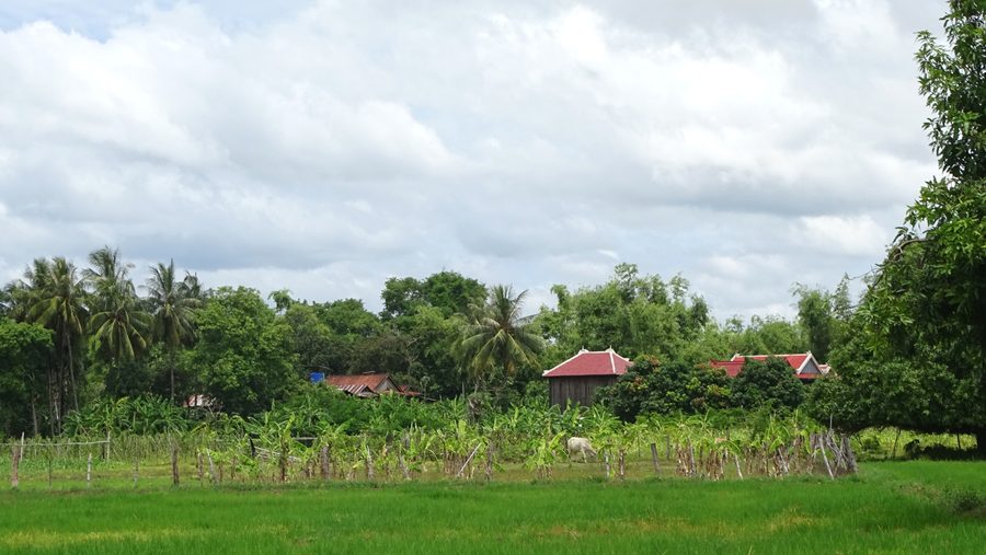 Mekong-Landschaft auf der Insel Koh Trong bei Kratié in Kambodscha