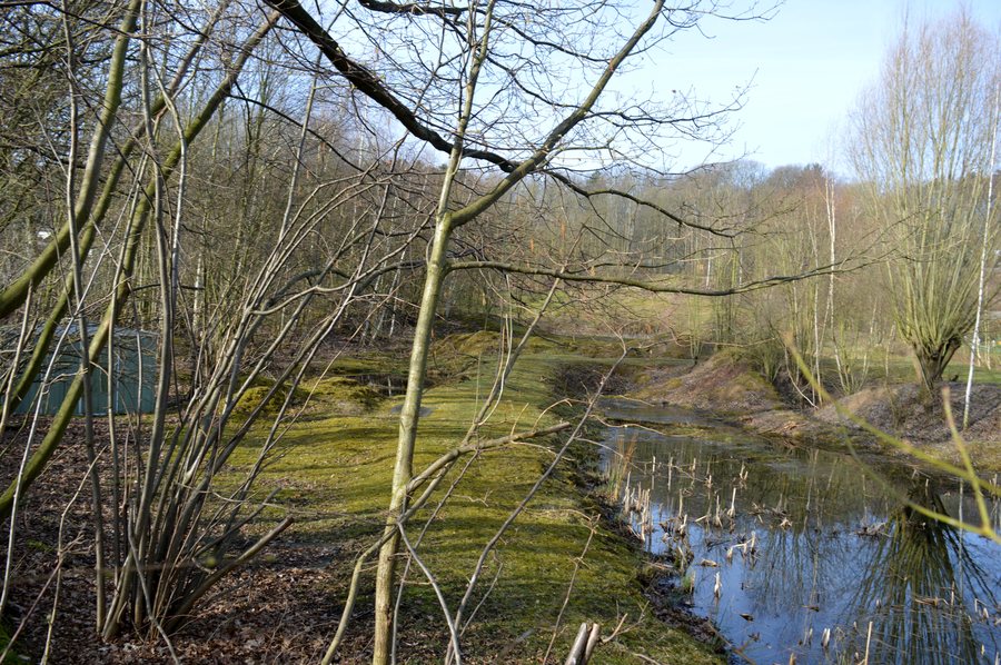 File:FFH Tongrube Ochtersum (14).jpg