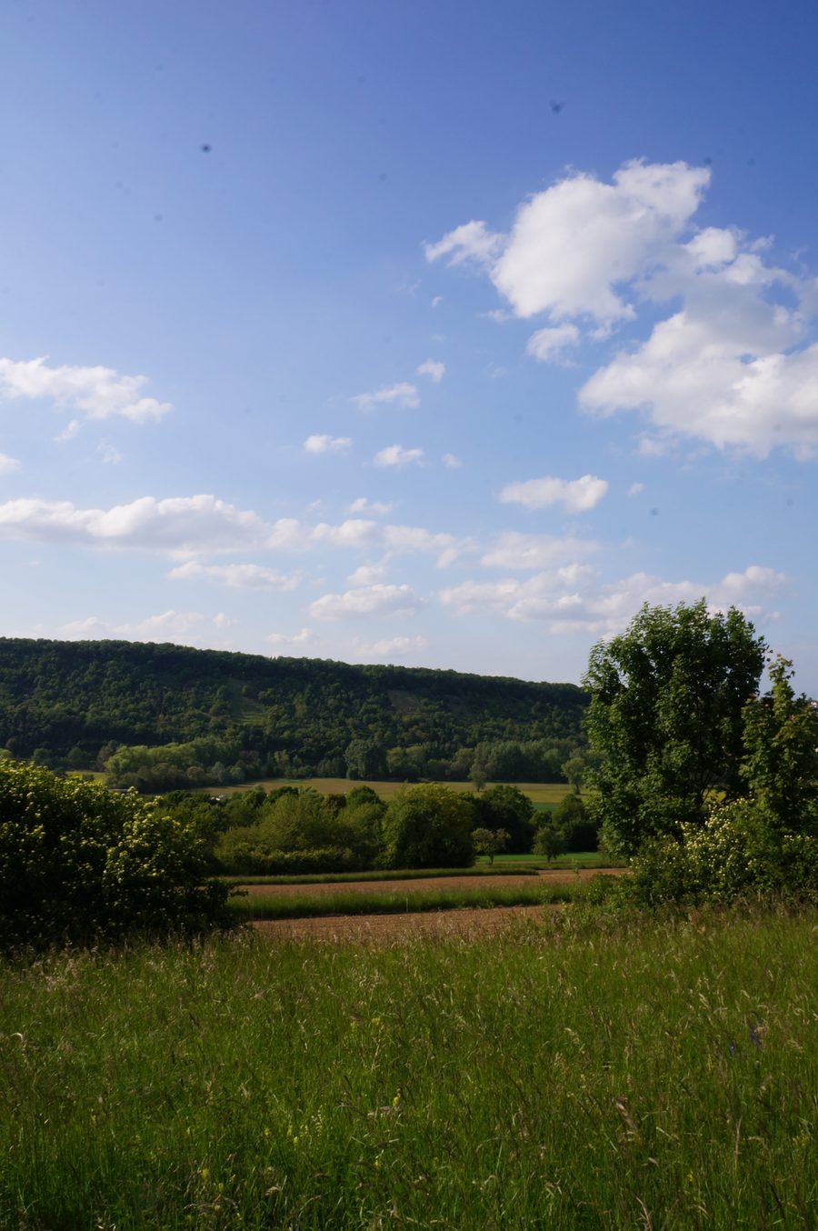 Blick auf das Enztal zwischen Niefern und Mühlacker im Enzkreis