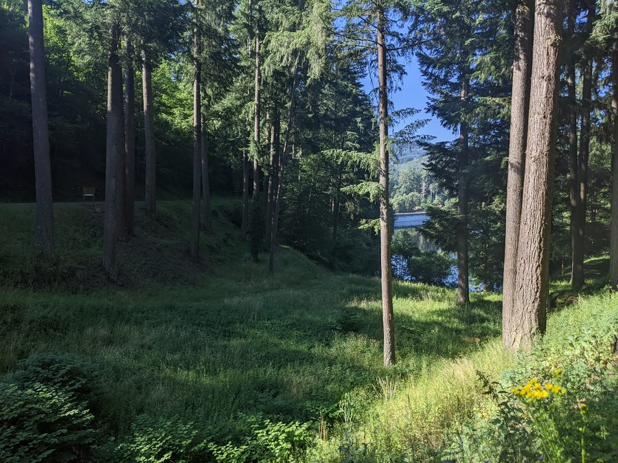 Grünes Tal mit Blick auf den Stausee des Barrage de La Tache bei Renaison