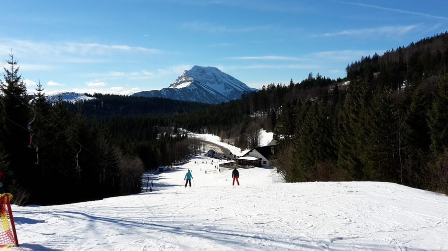 Blick vom Turmkogel bei Puchenstuben auf die bewaldete Berglandschaft mit dem Ötscher im Hintergrund