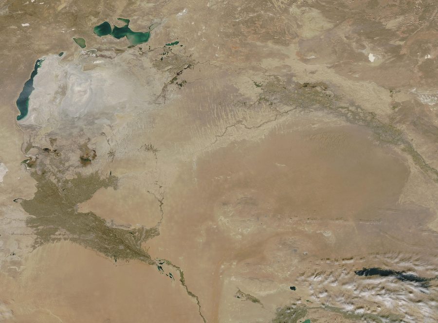 Immagine satellitare del centro arido dell'Asia Centrale.