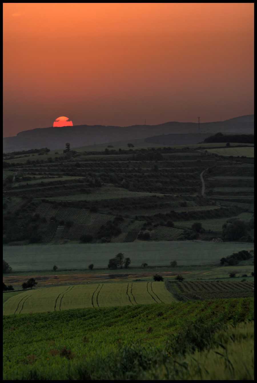 Vigneti e terreni agricoli in Moravia meridionale al tramonto
