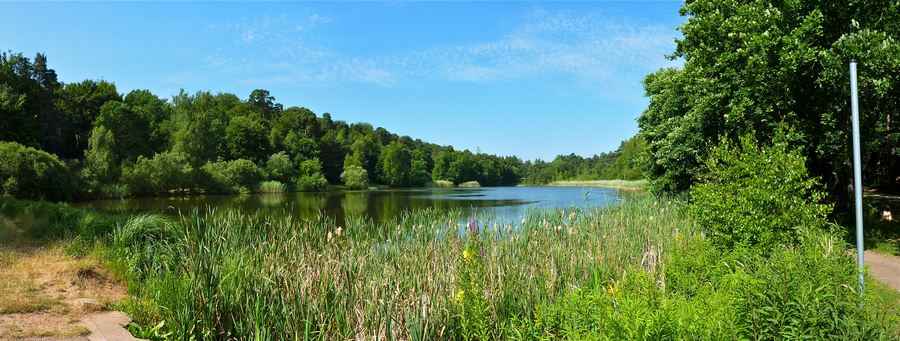 Panorama del Vogelwoog presso Kaiserslautern