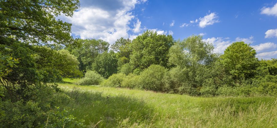 Weitläufige Wiesenlandschaft im FFH-Gebiet Wiesen im Grabfeld