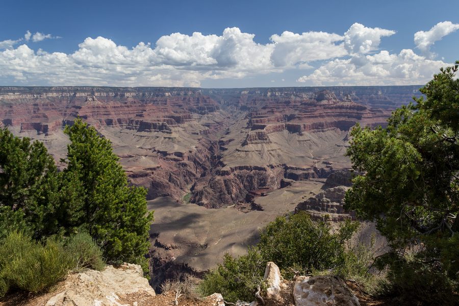 Vista del Grand Canyon dal South Rim in Arizona
