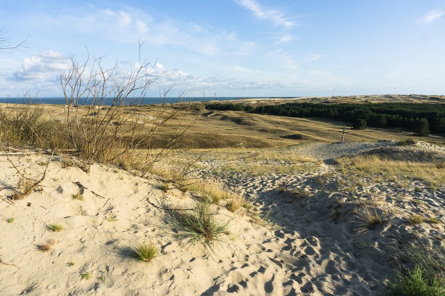Dünenlandschaft in der Kurischen Nehrung in Litauen
