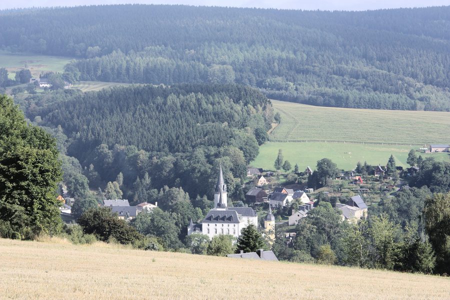 Blick auf Schloss Purschenstein in Neuhausen im Erzgebirge