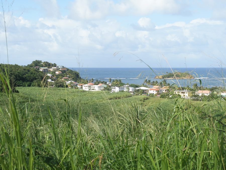 Vue sur les maisons de la Pointe à Bibi et sur le front de mer de Tartane, La Trinité, Martinique