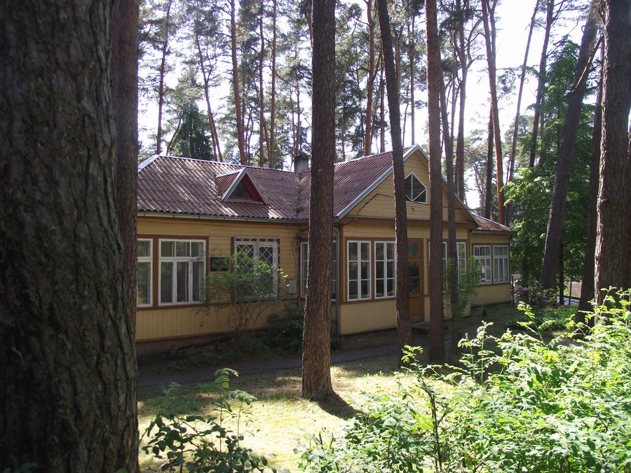 File:Kulautuvos ambulatorija- Kulautuva dispensary - panoramio.jpg