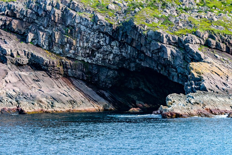 Felsige Küste mit Meer und Seevögeln auf der Avalon-Halbinsel bei St. John's
