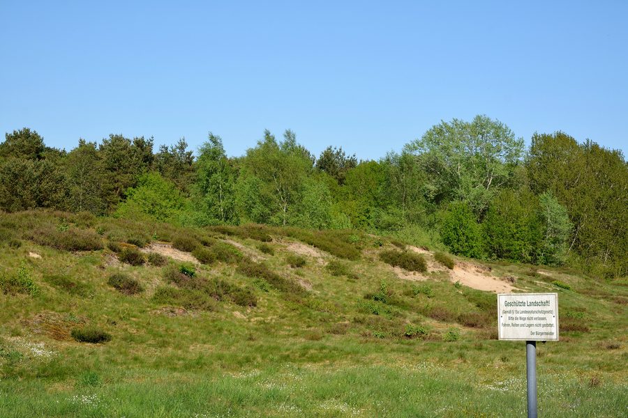 Rüsterberg, eine Binnendüne in Schülp bei Rendsburg am Nord-Ostsee-Kanal