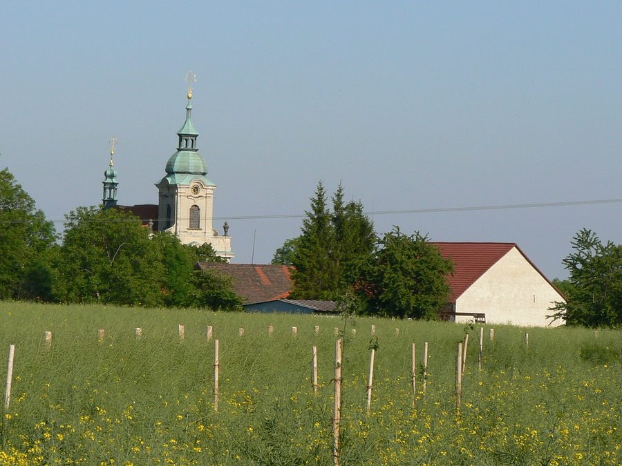 St.-Wenzels-Kirche im Dorf Vysoká im Bezirk Mělník