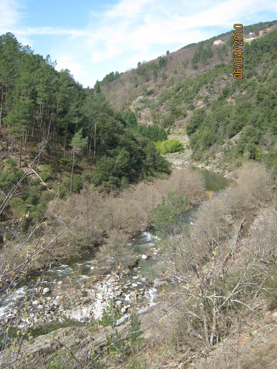 Landschaft des Drobie-Tals in der Ardèche mit bewaldeten Berghängen und verstreuten Häusern