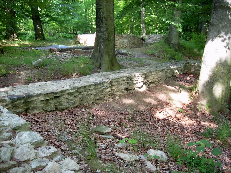 Rovina del castello presso il laghetto della chiesa a Nennewitz nel bosco di Wermsdorf