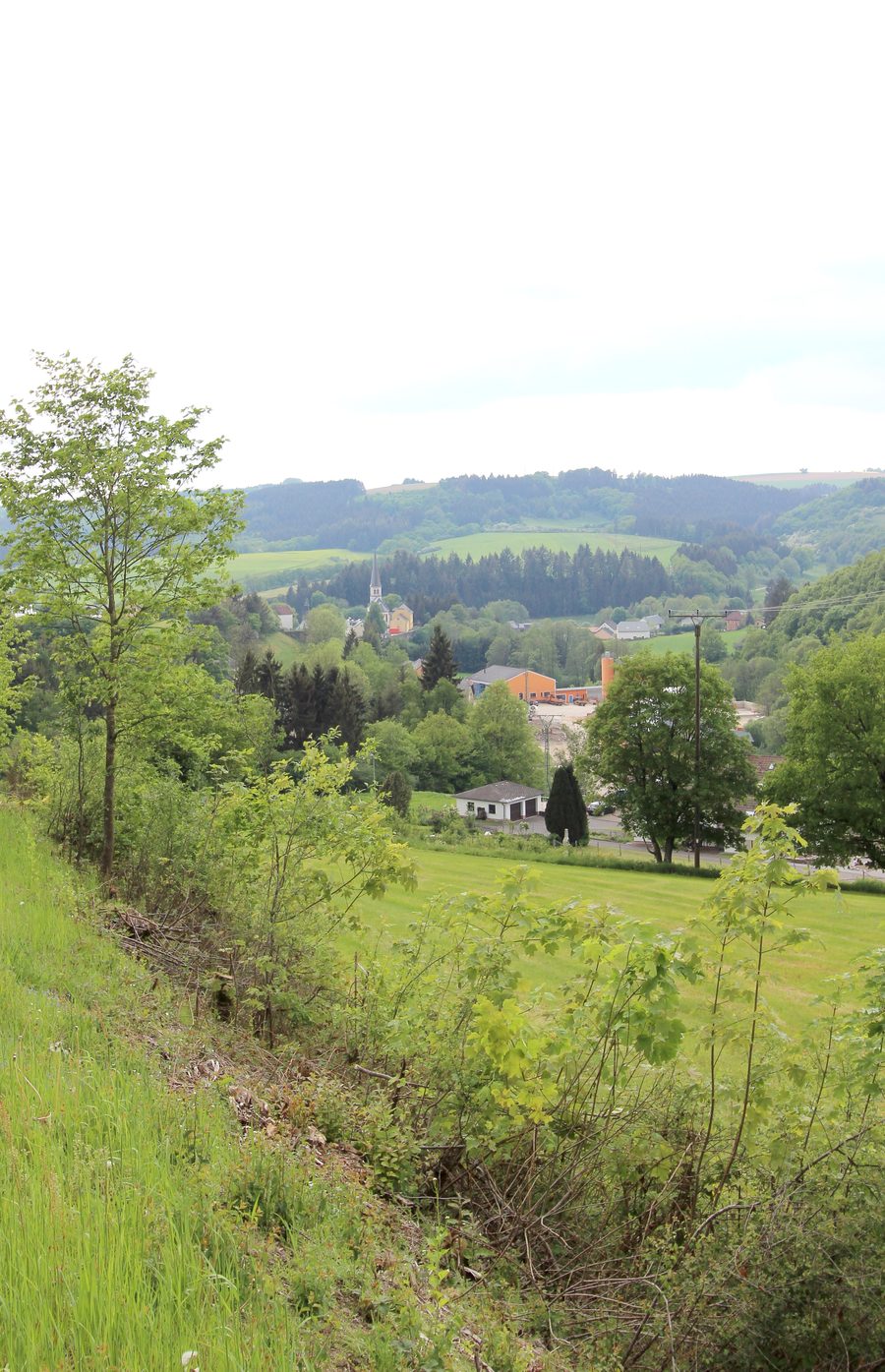 Panoramablick über das Irsental bei Irrhausen in der Eifel