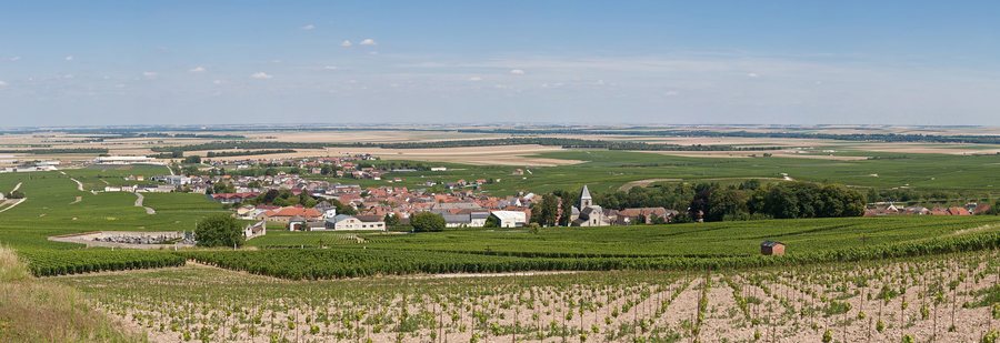 File:Le-Mesnil-sur-Oger, France - July 2011.jpg