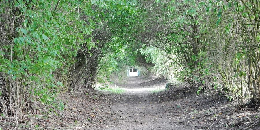 Sentiero escursionistico presso il castello di Warnsdorf sul lago Hemmelsdorfer See