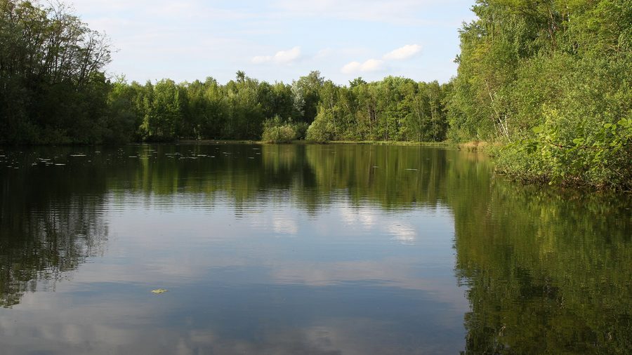 Landschaftsschutzgebiet Ellerstadter Weiher im Landkreis Bad Dürkheim in Rheinland-Pfalz
