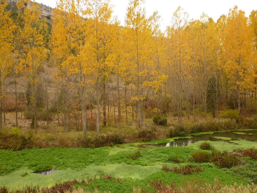 File:Ucero, 42317, Soria, Spain - panoramio.jpg