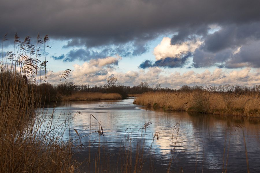 Die Haaler Au zwischen den Poldern kurz vor der Mündung in den Nord-Ostsee-Kanal