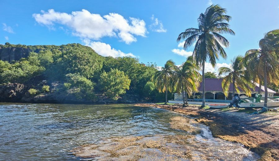 Vista sulla spiaggia di Marigot a Terre-de-Haut in Guadalupa