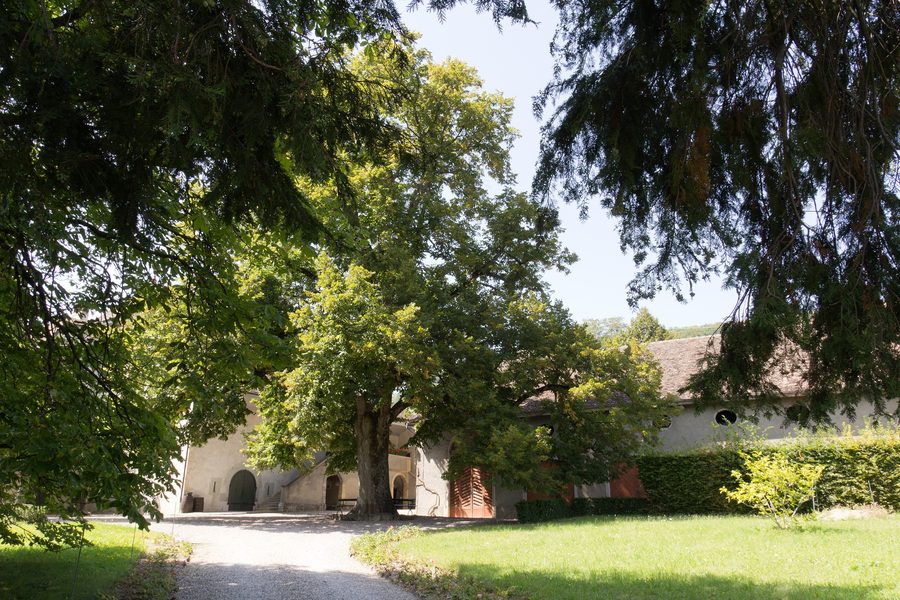 Zufahrt zum Schloss Luins mit Kiesweg und Rasenfläche
